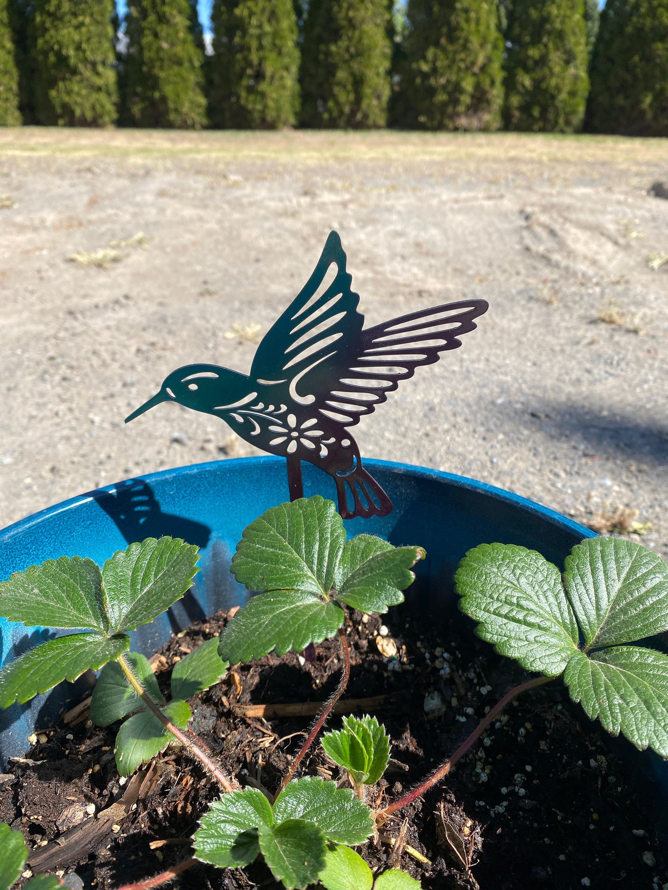Metal Hummingbird Plant Stake with Floral design Garden Markers Garden Stakes Plant Markers Metal Art Garden Decor Colorful Hummingbirds
