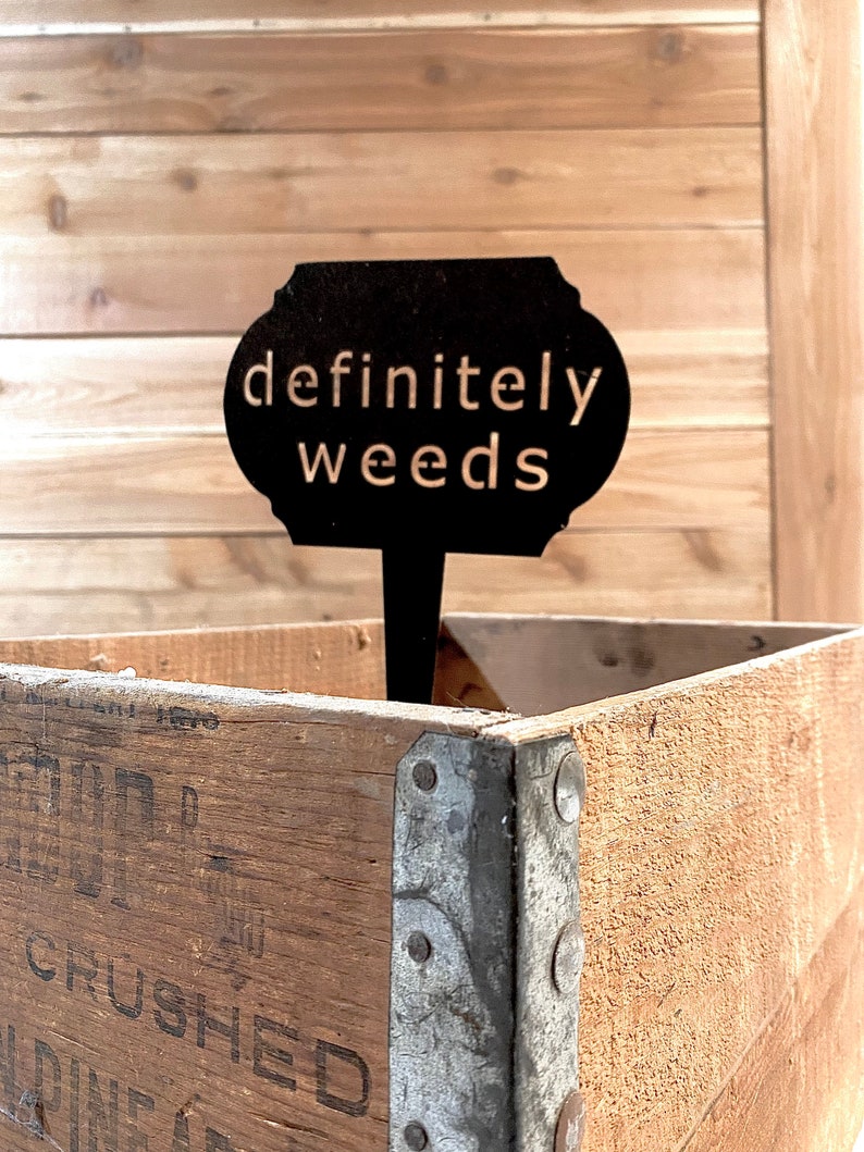 May include: Black metal sign with the text "definitely weeds" against a wooden backdrop.