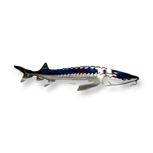 Sturgeon metal wall hanging, sturgeon wall accent, Sturgeon metal art