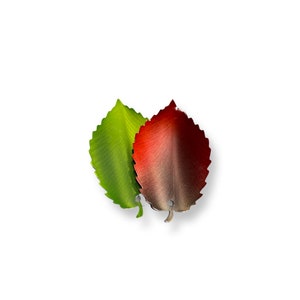 May include: Two metal leaves, one green and one red, with a textured finish. The leaves are attached to each other and have a hole in the top.