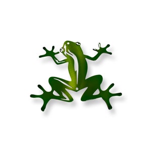 Frog metal wall hanging, frog metal art, rainforest decor, desert themed decor, colorful frog