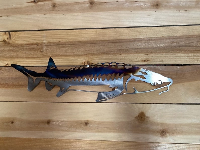 May include: A metal wall sculpture of a sturgeon fish with a blue and brown patina finish. The fish is depicted in a side profile with its mouth open and its fins spread out. The sculpture is made of metal and has a rustic, industrial look.