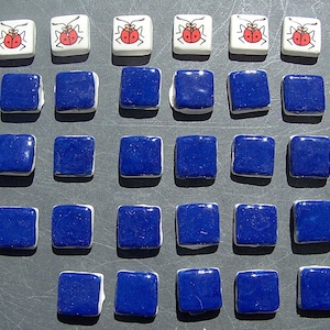 29-PCs Mosaic Ceramic Tiles Floral Shabby Chic Square Lady Bug Cobalt Mix Project Art Beautiful Hand Painted OAK Pieces Themed Glazed Murals
