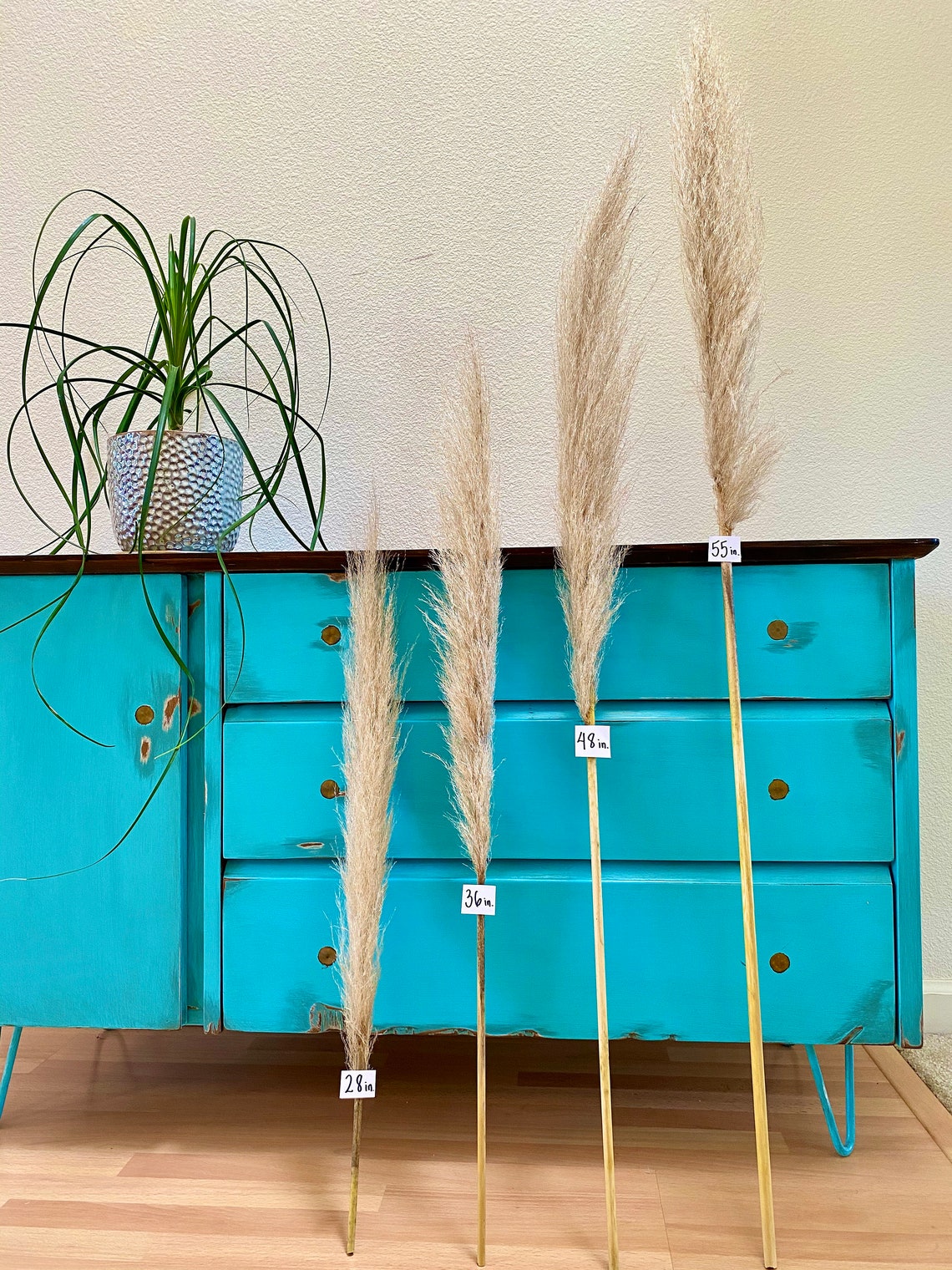 Pampas Grass Natural Dried Pampas Grass Decor Dry Pampas Etsy
