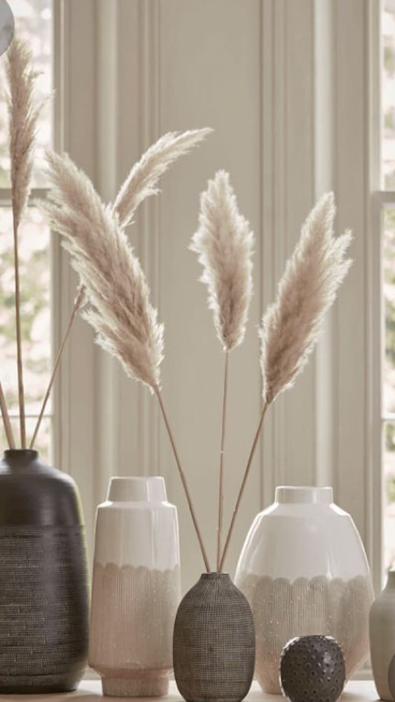 Pampas Grass Natural Dried Pampas Grass Decor Dry Pampas