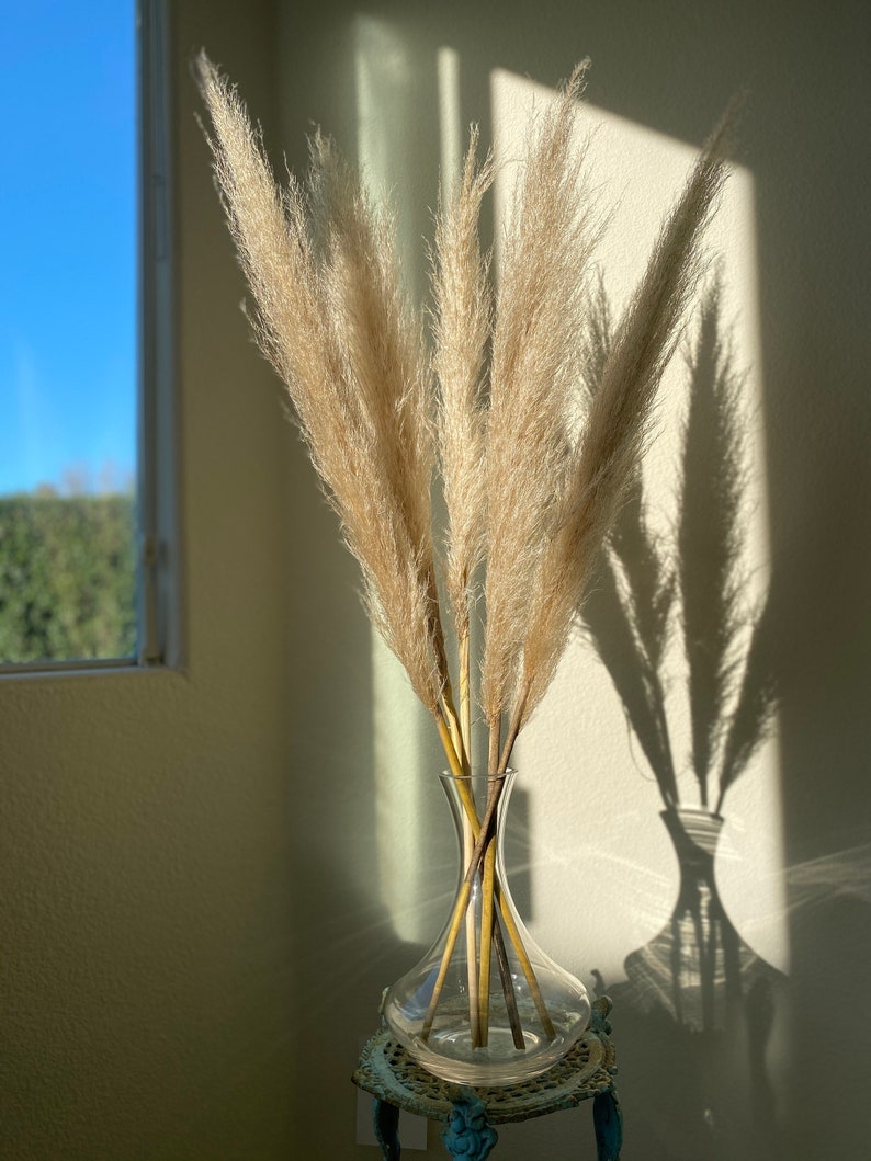 Pampas Grass Natural Dried Pampas Grass Decor Dry Pampas Etsy