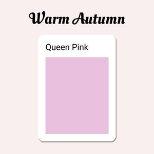 Polymer Clay Farbe Rezept Anleitung | Sculpey Soufflé Farbmischung | Digitaler Download | Warme Herbst-Fall-Palette in Queen Pink