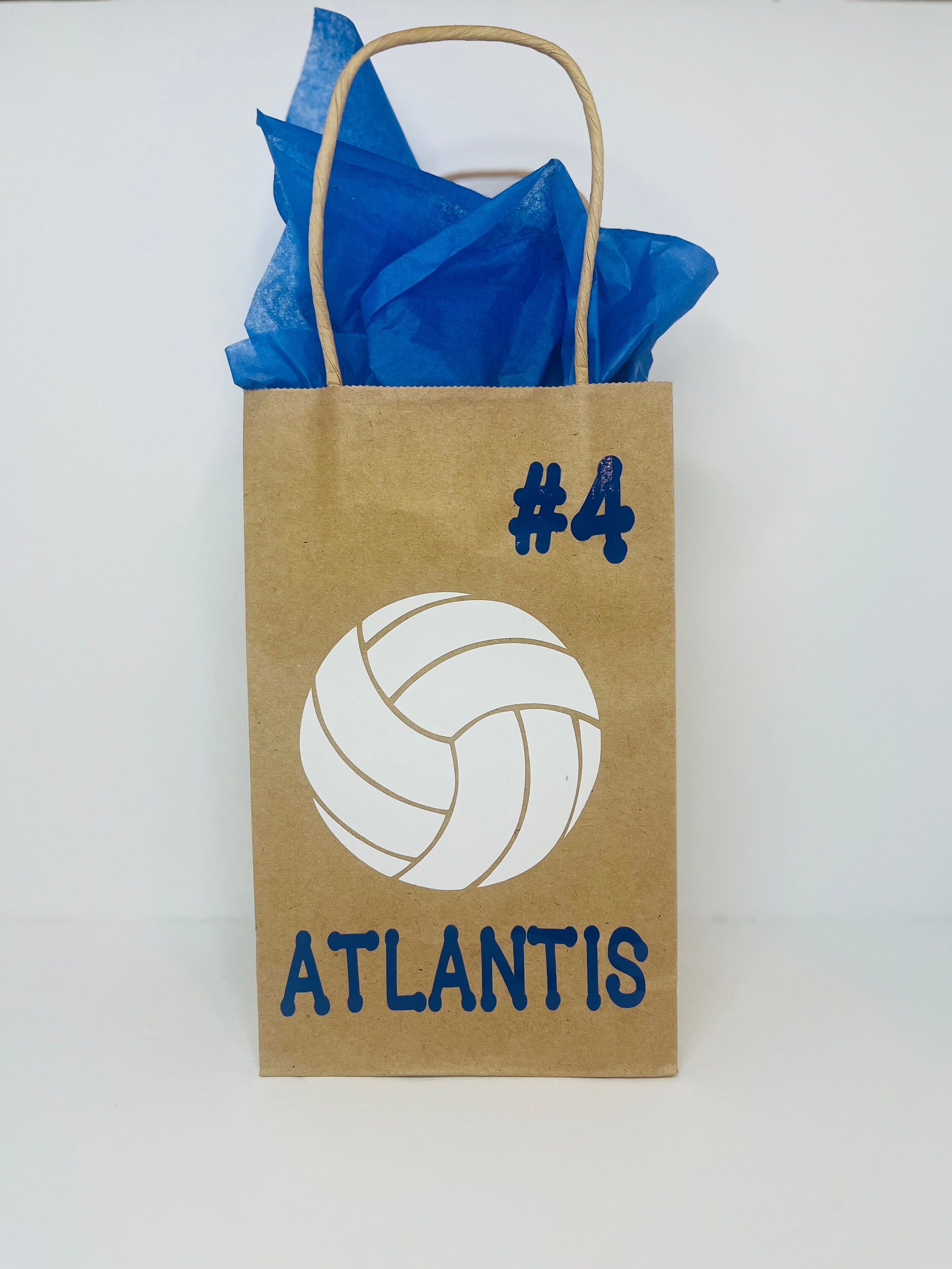 thumbnail image 2 of 20PCS Volleyball Clear Gift Bags With Handles - Sport Theme Party Favor Bags For Team Gifts & Snacks 2 of 13