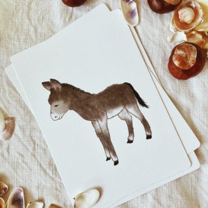 Postkarte • Esel