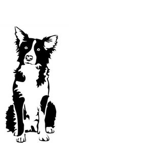 Border Collie svg, Border Collie Dog Breed, Cute svg file