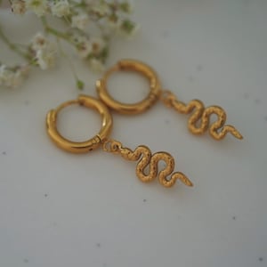 Snake Charm Hoop Earrings , Stainless Steel Serpent Jewelry , Nature Inspired Gift, Snake Jewelry , Drop Dangle Hoop Earrings , Gift For Her