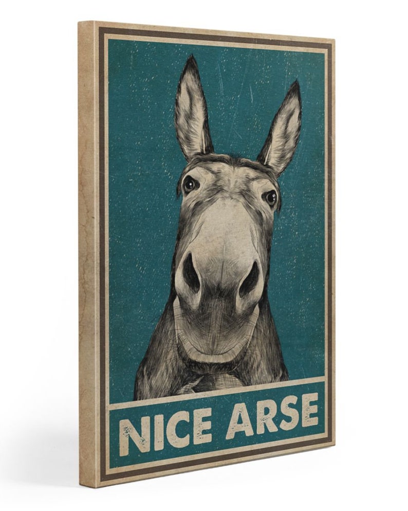 Vintage Donkey Nice Arse Framed Canvas Funny Canvas 0.75 & Etsy
