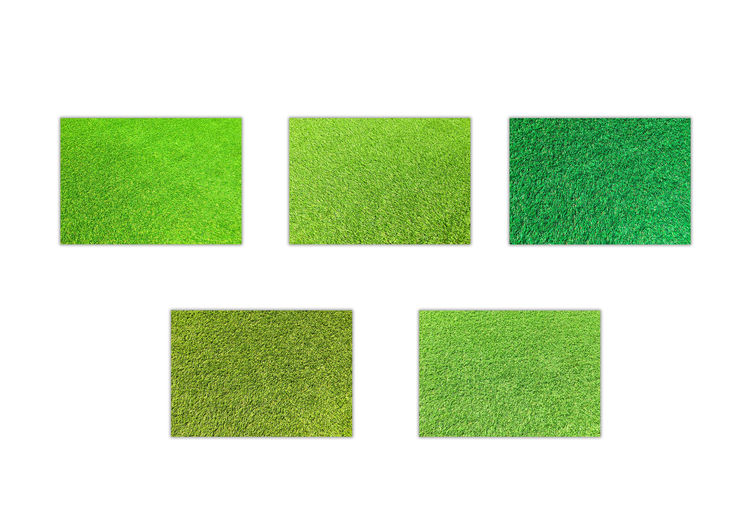 Artificial Green Grass Texture Background With Space Grass Digital