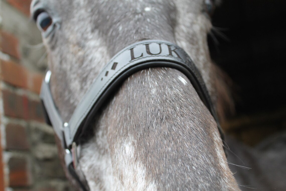 Quality Engraved Leather Headcollar Halter Leather Tack Horse Etsy