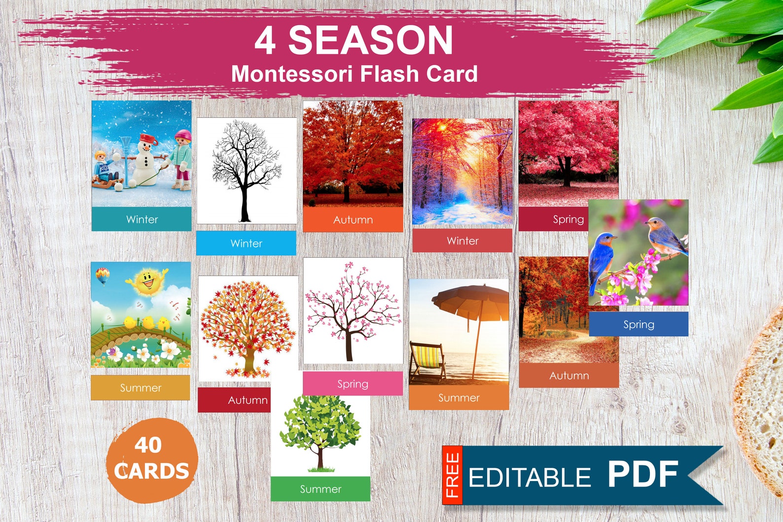 SEASON Montessori Cards Season Flash Cards Editable Etsy