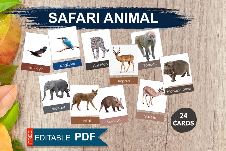 SAFARI ANIMAL Montessori Cards Safari Animal Flash Cards Etsy