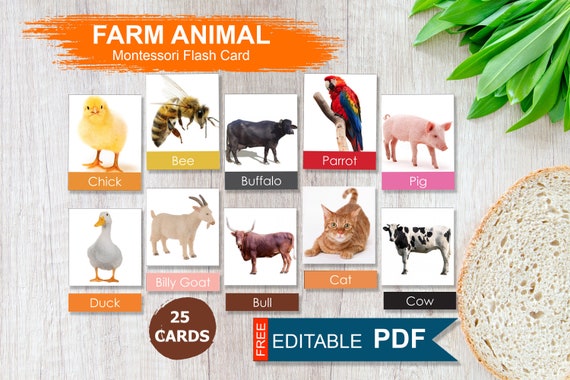 Buy Farm Animal Montessori Cards Editable Montessori Cards Online in India - Etsy Buy Farm Animal Montessori Cards Editable Montessori Cards Online in India - Etsy