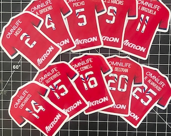 Chivas de Guadalajara Player Jersey Stickers! *Bundle*
