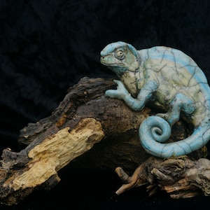 May include: A blue and green ceramic chameleon sculpture perched on a piece of driftwood.