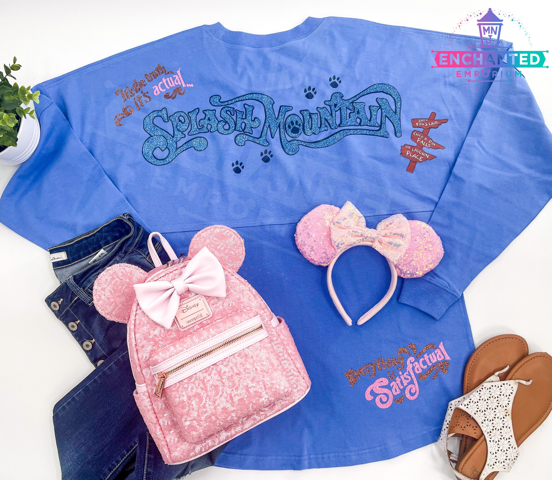 Splash Mountain Brer Rabbit Zip A Dee Doo Dah It's the Truth It's ...