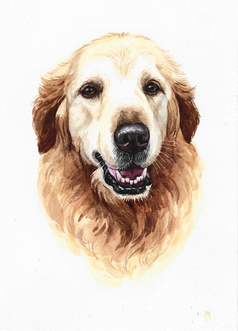 Golden Retriever Custom Portrait labrador Portrait Painting | Etsy