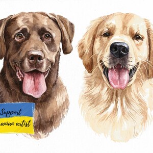 Golden Retriever Custom Portrait labrador Portrait Painting From Photo ...