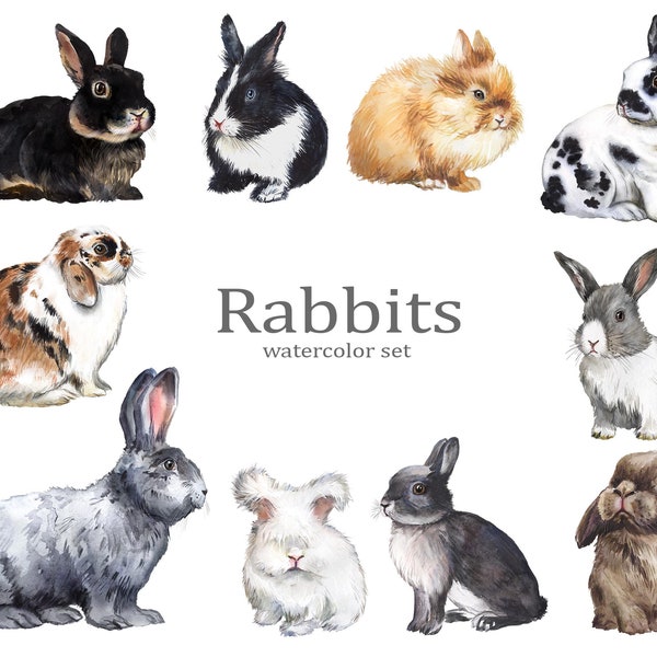 Rabbits watercolor clipart, bunnies png, bunnies different breeds of watercolor png set, bunny set, farm animals, download png