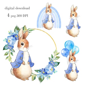 Peter Rabbit Clipart, Hase Aquarell Illustration, Junge Baby-Dusche-Design, Geburtstag-Party-Dekor, digitaler Download