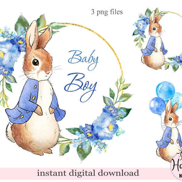 Peter Rabbit PNG, rabbit sublimation design, baby boy png print, baby shower design, frame with blue flowers, instant digital download