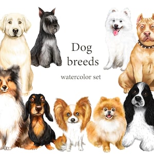 Hunde Aquarell Clipart. Hunderassen als Png Clipart. Hunde PNG. Haustiere Clipart.