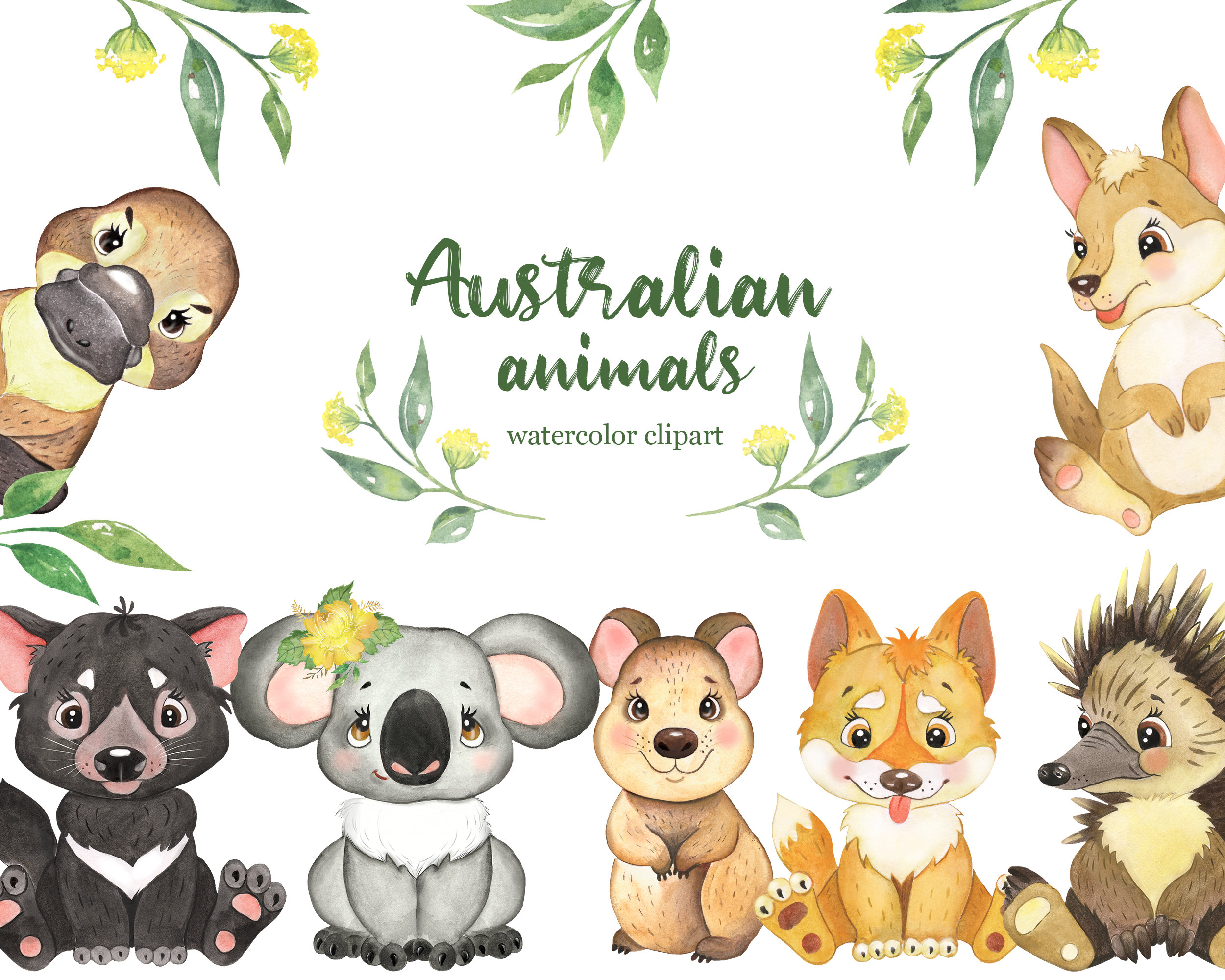 Australia Animal Svg - Etsy Australia Australia Animal Svg - Etsy Australia