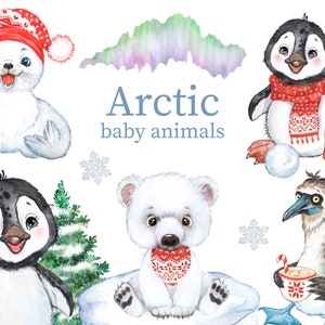 Pooldieren clipart, pinguïn, zeehond, ijsbeer, baby dieren clipart, winter clipart digitale instant download png