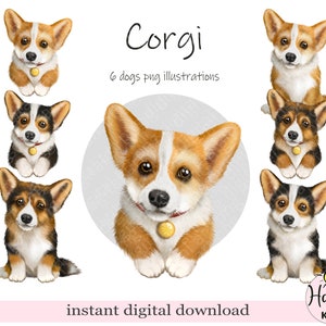 Clipart Corgi. Clipart di cane ad acquerello, ritratto di cucciolo, cane carino, PNG per animali domestici, download digitale di cane Corgi