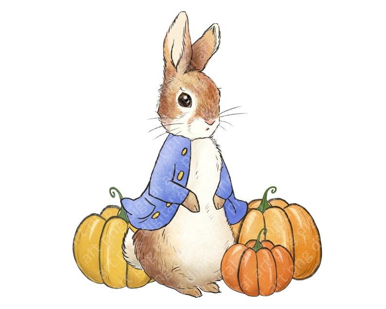 Peter Rabbit Pumpkin Design Autumn Leaves Pumpkins Etsy Peter Rabbit Pumpkin Design Autumn Leaves Pumpkins Etsy