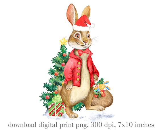 Peter Rabbit Christmas PNG Peter Rabbit Sublimation Design - Etsy
