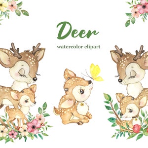 Baby Deer Watercolor Clipart: Nursery Art Graphics (PNG)