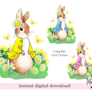 Frühlingskaninchen PNG, Kaninchen Sublimationsdesign, Babypartydesign, Kaninchen mit Gänseblümchen, Kaninchen mit Blumen, sofortiger digitaler Download
