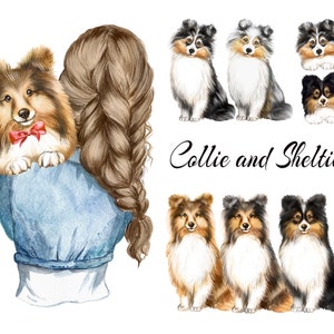 Clipart aquarelle de colley. Clipart aquarelle Sheltie. Cadeau pour les amoureux des chiens PNG. Filles avec un chien. Imprimé chien colley.