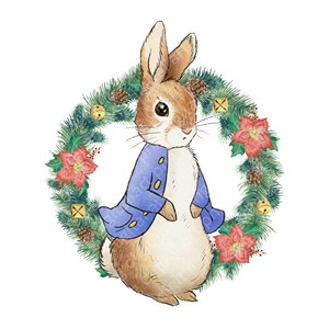 Peter Rabbit Christmas PNG, Peter Rabbit Sublimation Design, Peter ...