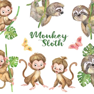 Clipart animaux de la jungle, singes rigolos, paresseux mignons, bébés animaux, impression numérique pour bébé