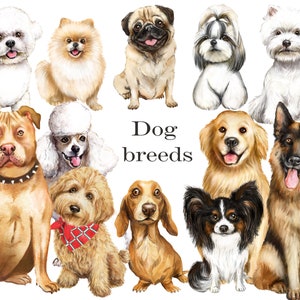 Dog Breeds Watercolor Clipart: Pets PNG (Digital Download)