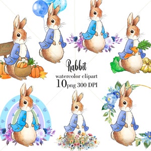 Peter Rabbit PNG, Kaninchen Sublimationsdesign, Osterhase Design, Baby Boy Druck, Babyparty Design, digitaler Download