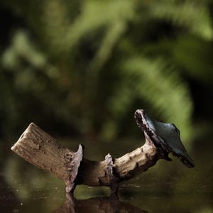 Mushroom Pipes | Ceramic smokeware | Herbal smoke rituals pipe | Rustic handcrafted smoke pipes | Limited Collection
