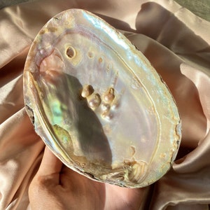 Mother of Pearl Shell | Pearlescent Iridescent Pastel Light Pink Rainbow Abalone Shell Shiny Trinket Tray for Jewelry Storage Perfume Rings