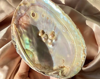 Mother of Pearl Shell | Pearlescent Iridescent Pastel Light Pink Rainbow Abalone Shell Shiny Trinket Tray for Jewelry Storage Perfume Rings