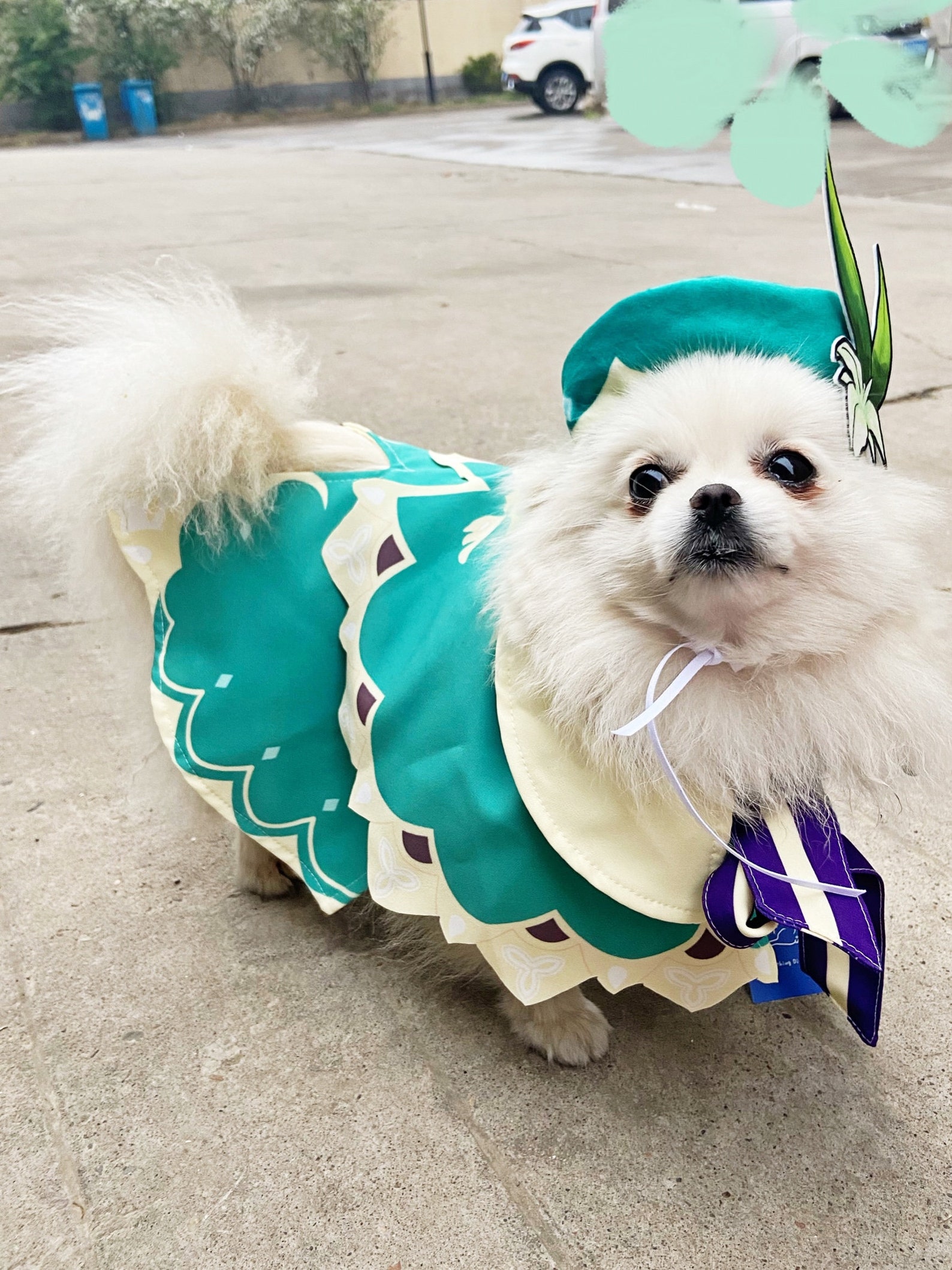 Venti Cosplay Costume For Pets Genshin Impact / Pets cosplay | Etsy