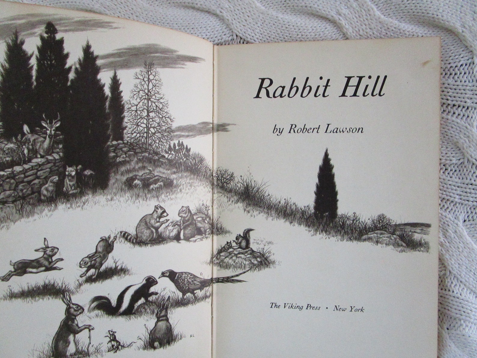 book rabbit hill book rabbit hill