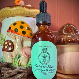 Mushroom Elixir: Wild Mushroom Dual Extract Tincture