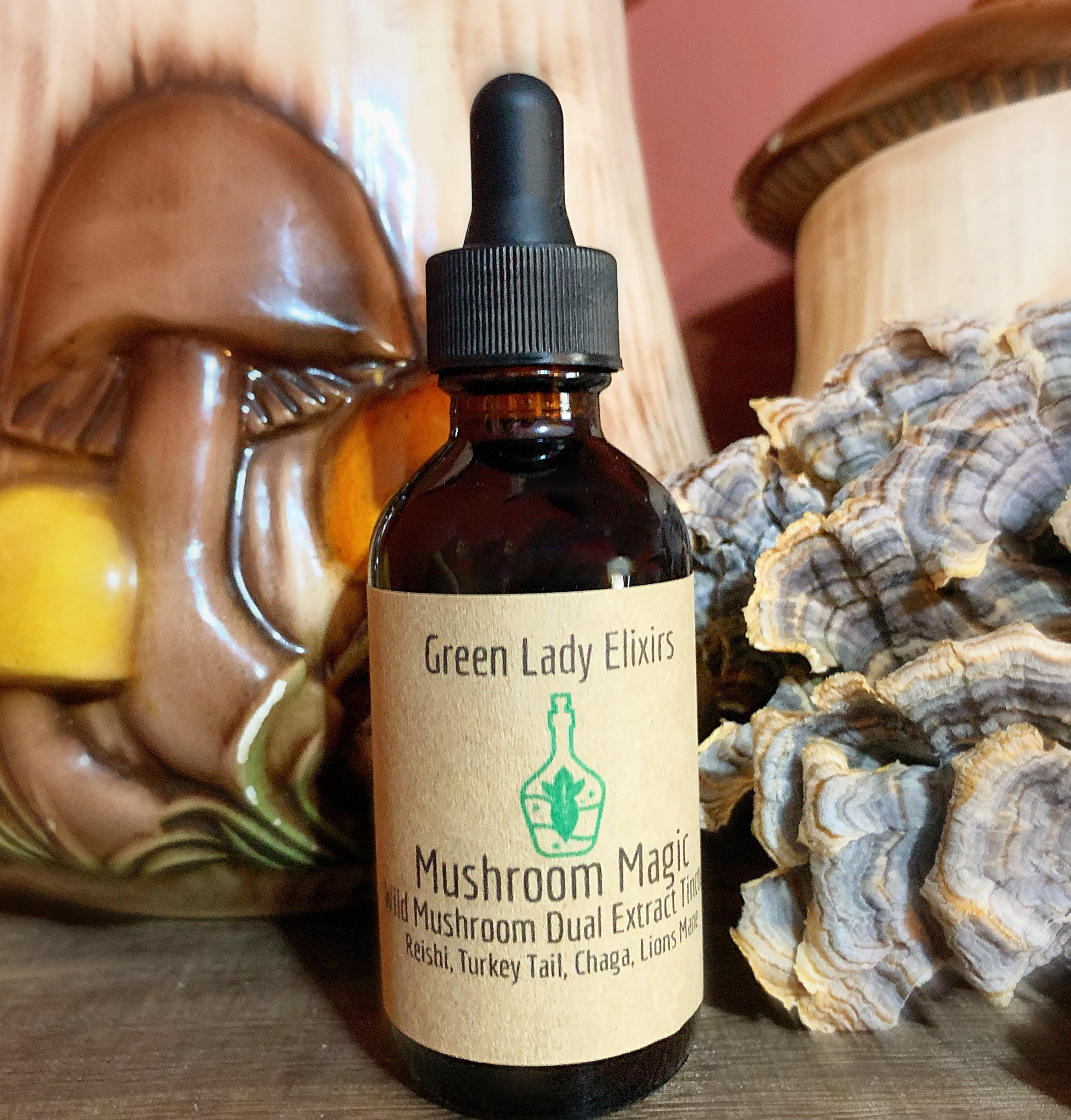 Mushroom Magic Wild Mushroom Dual Extract Tincture Etsy