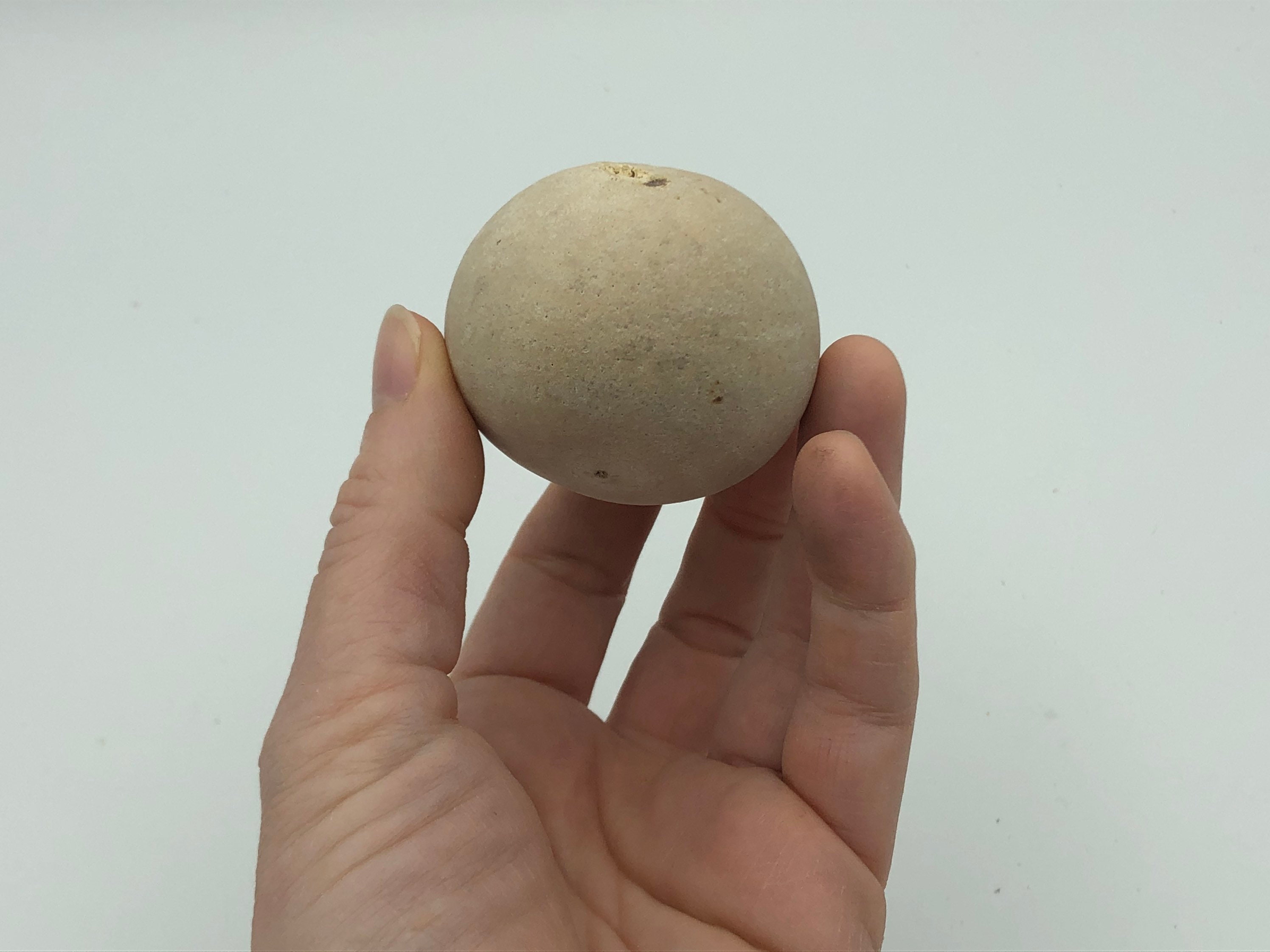 Decorative Bowl Filler mix of natural materials and garbanzo Etsy